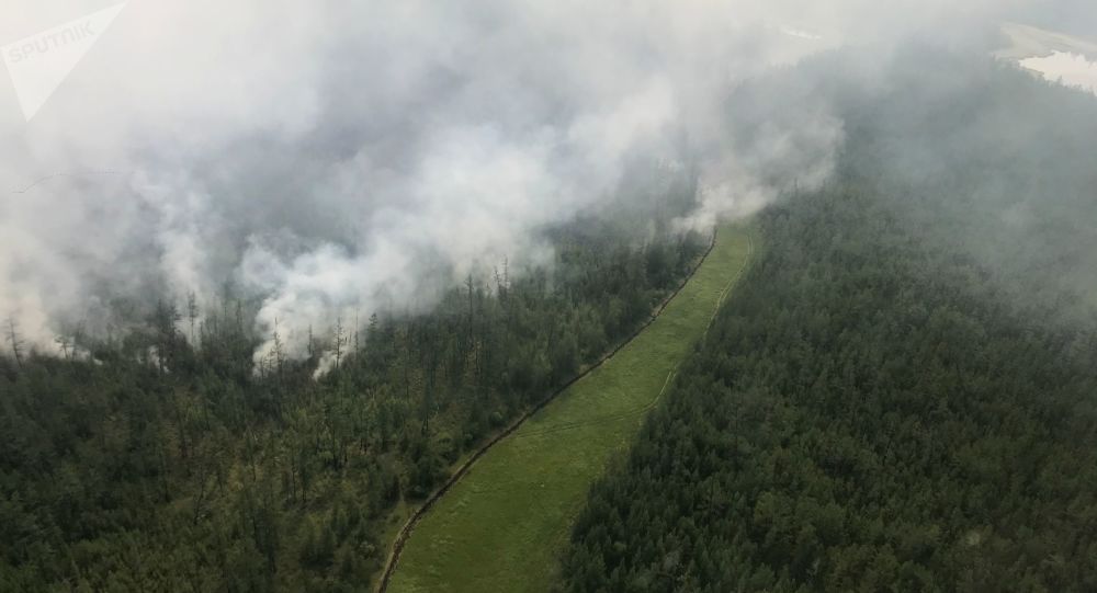 俄罗斯五个联邦区9月林火风险有所增高