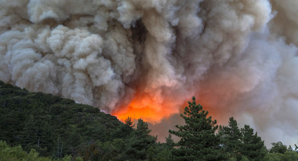 美国加州山火面积蔓延至近9万公顷 约500幢建筑被毁