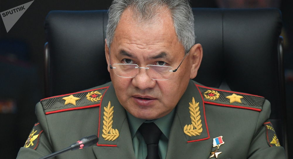 俄国防部长：新型空降作战力量机动性更好  火力更强