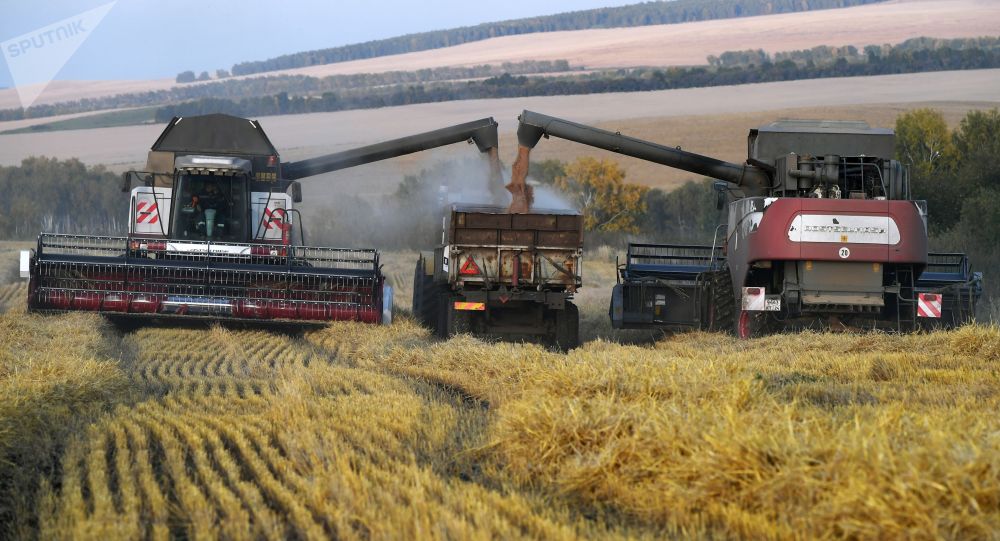 俄农业部长称2020年俄谷物产量将达历史第二高位