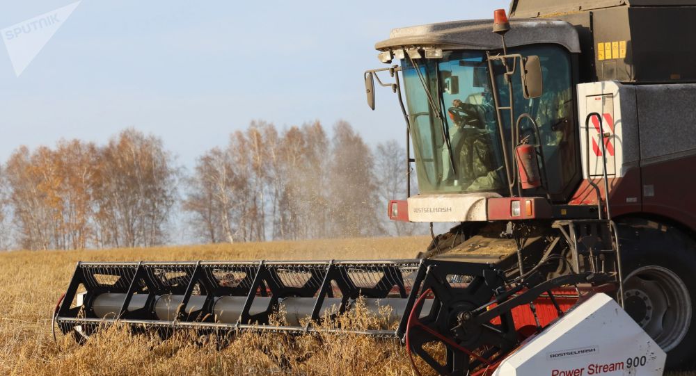 俄罗斯副总理：国家农产品出口规模近乎赶上进口
