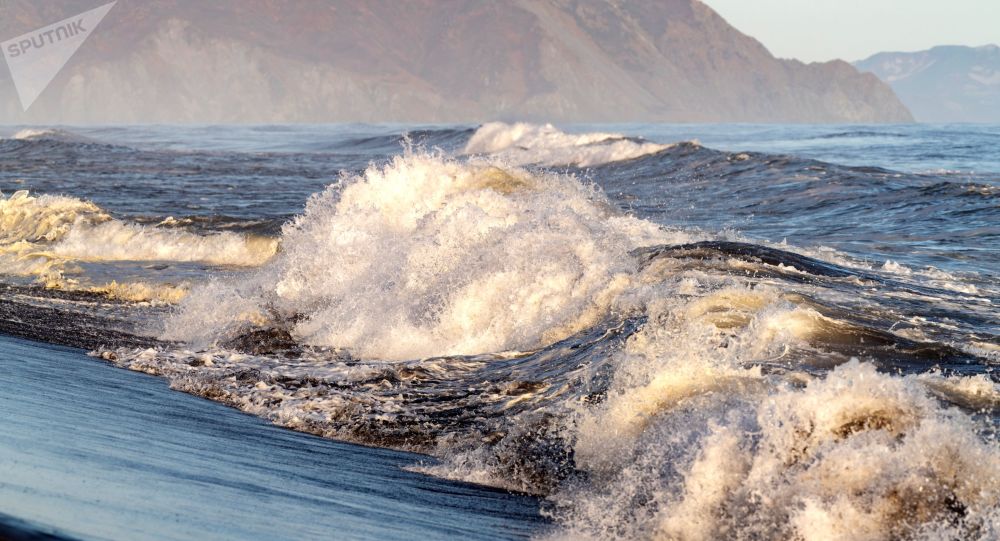 侦委会对堪察加半岛阿瓦恰湾污染提起诉讼