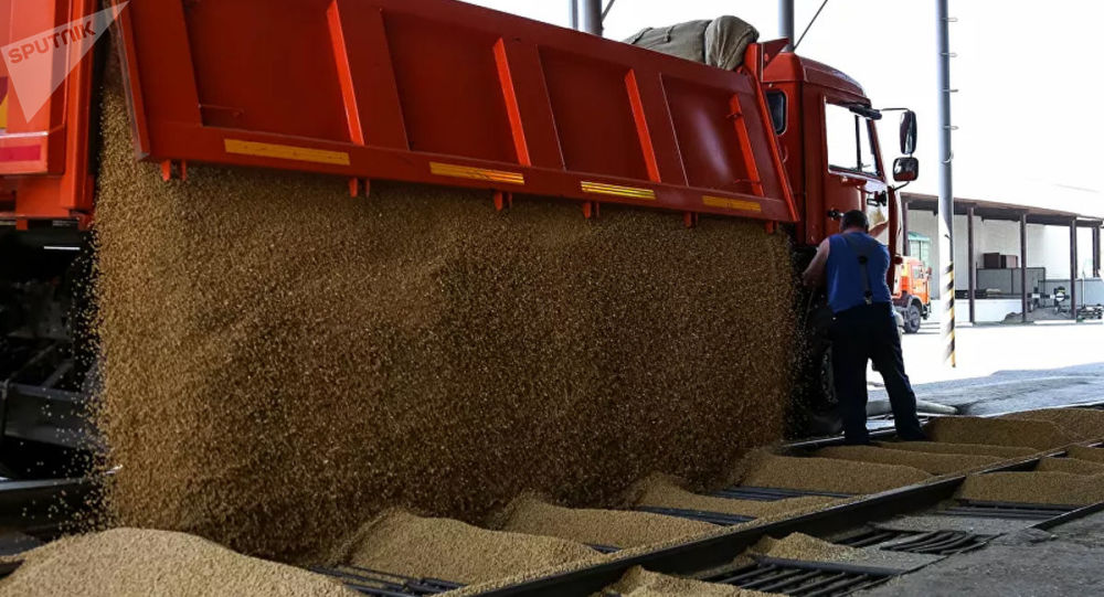 中国10月份进口美国大豆同比大增约200% 专家：未来或有继续增加的可能