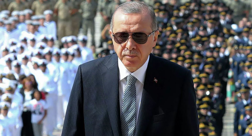 土耳其总统：美国国会骚乱震惊国际社会