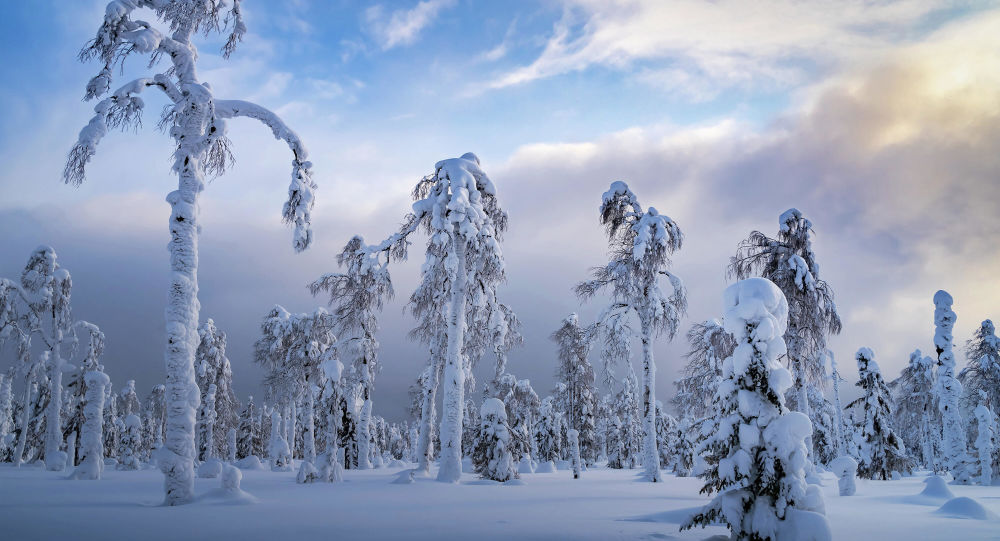 乌拉尔的棕榈和白色鳄鱼  俄罗斯冬季最美丽的地方