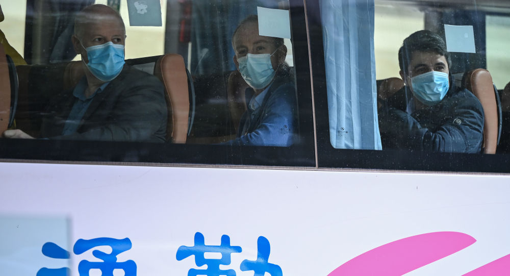 世卫组织团队将访问武汉的医院、实验室和市场