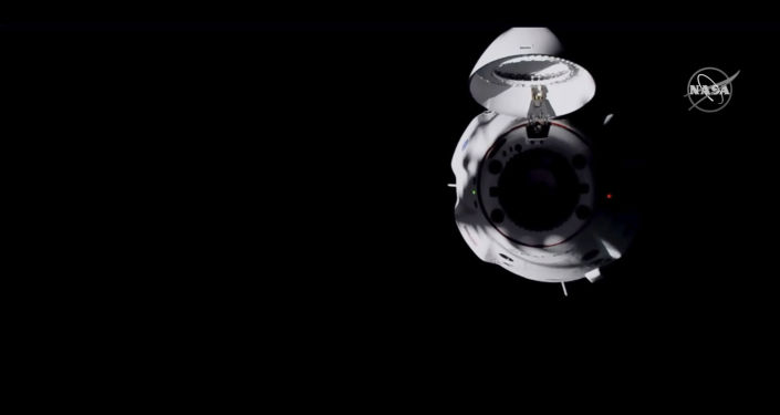 SpaceX飞船