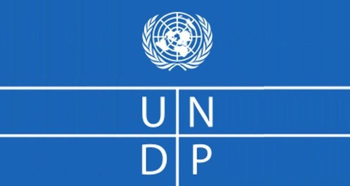 联合国开发计划署