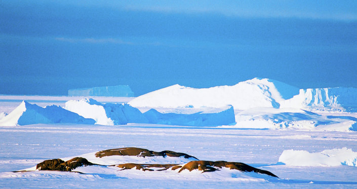 无人机拍下了南极洲冰架的巨大裂缝