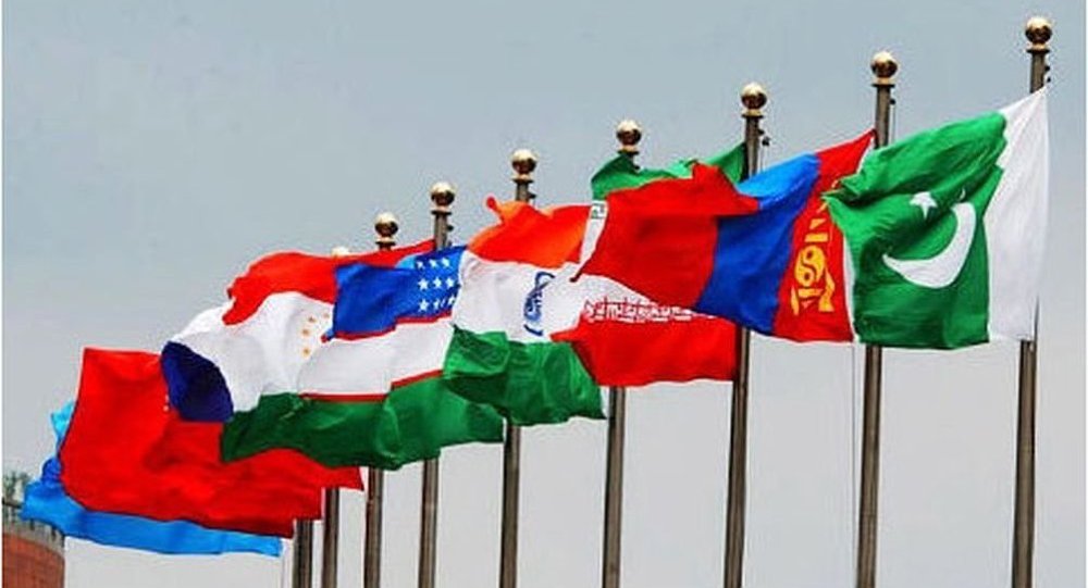 俄总统特别代表：十六个国家希望加入上合组织