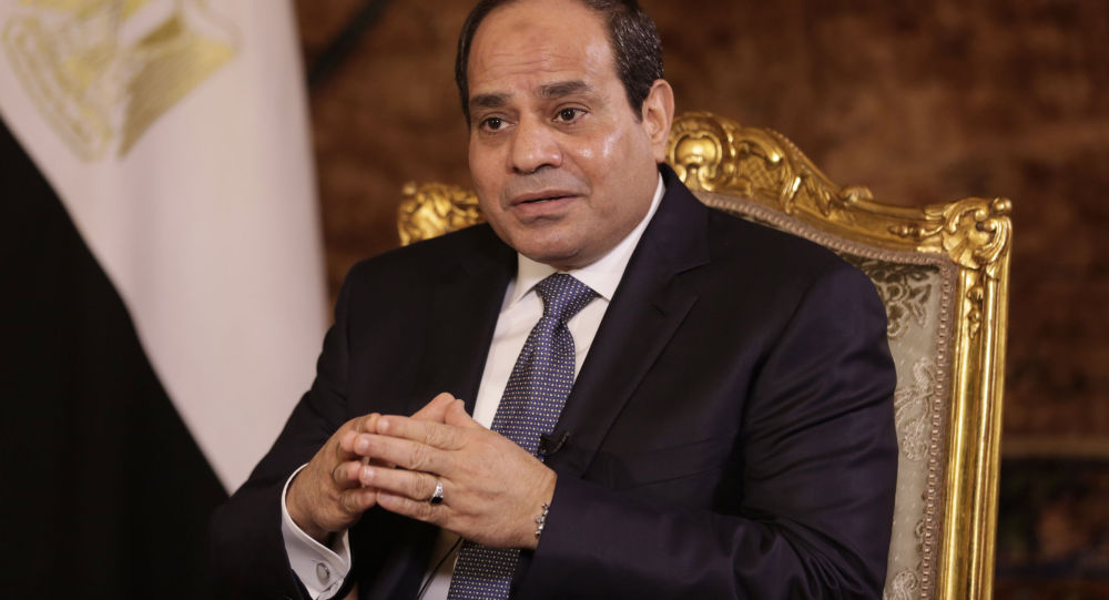 埃及总统呼吁国民控制生育率