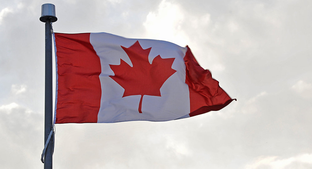 加拿大将从7月1日起对美国实施报复性关税