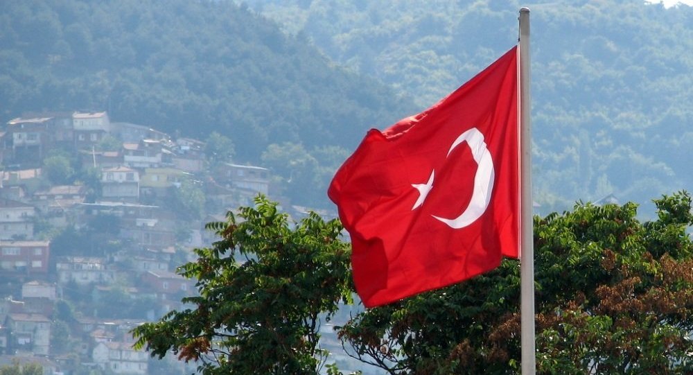 外媒：土耳其为两名涉嫌参与政变的美国人悬赏80万美元