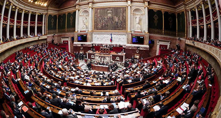 媒体:法国参议员将建议欧盟其他国家议员取消对俄制裁