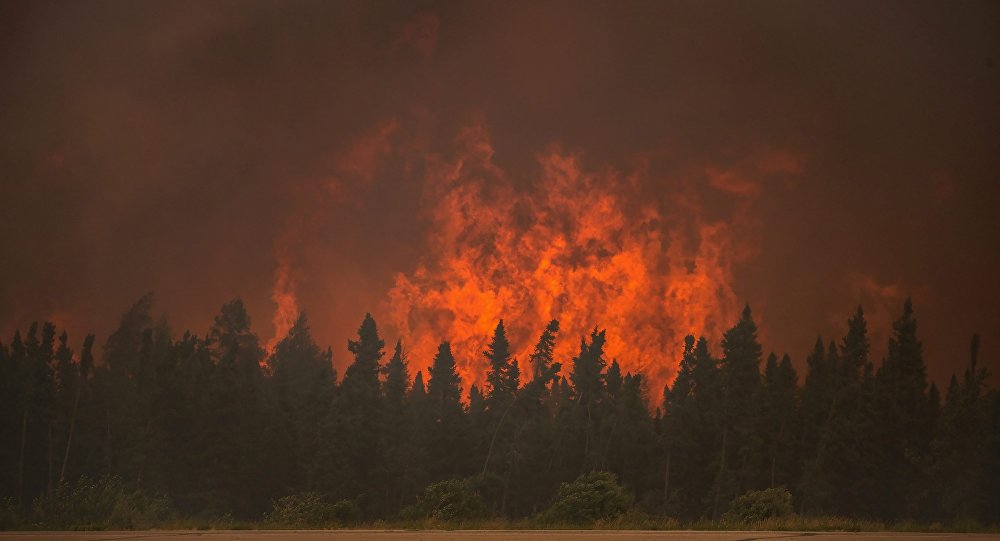 俄遠東13起森林大火中5起被撲滅
