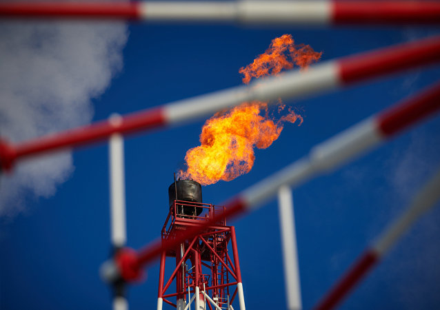 俄能源部長:俄與沙特邁向能源領域的戰略合作