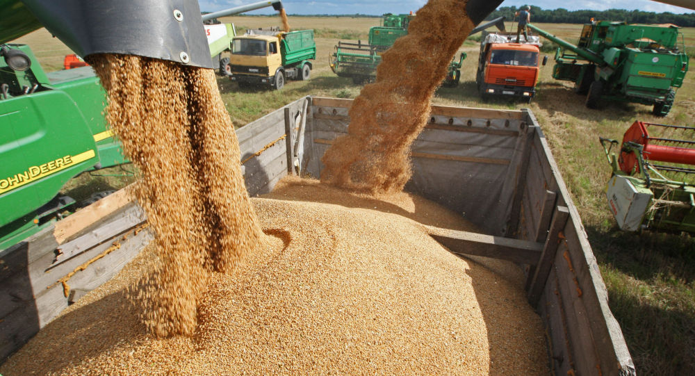 俄农业部：俄2017至2018农业年可以出口5000万吨的谷物