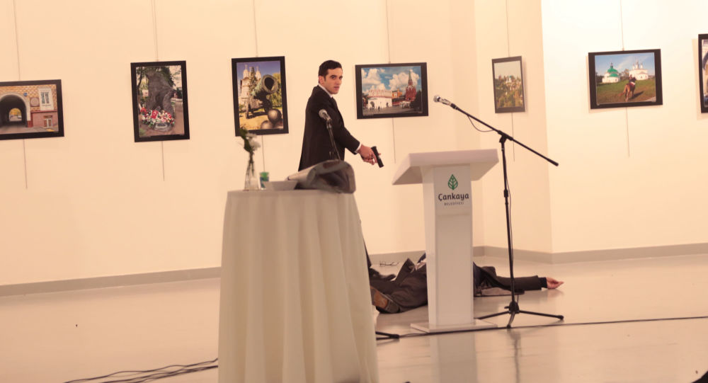 导致俄大使科尔洛夫被枪杀的土耳其画展主办者被捕