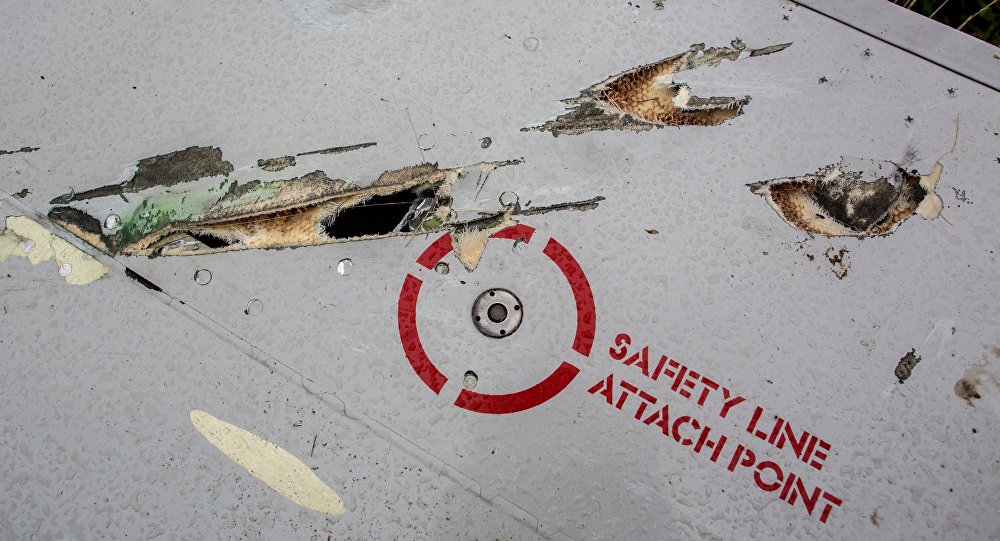 马来西亚外长呼吁停止就MH17事件的无端指控