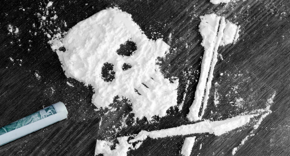 近一吨可卡因在墨西哥海岸被没收