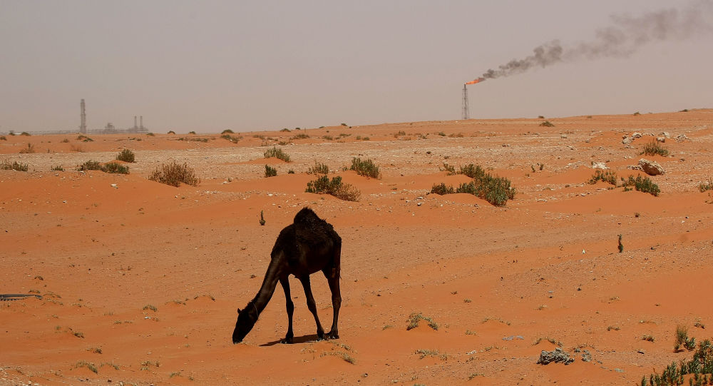 媒体：中国参与沙特阿拉伯勘探铀矿