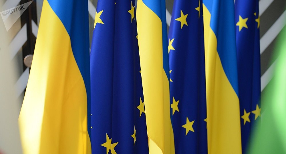 法国驻基辅大使：欧盟对暂停与乌克兰之间的免签证制度问题进行讨论
