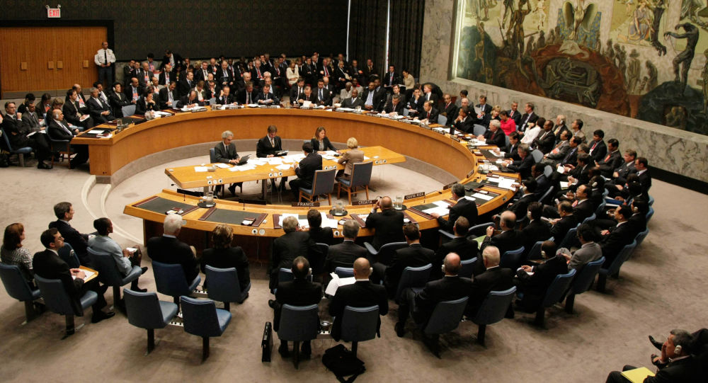 玻利维亚11日就叙利亚局势召开联合国安理会磋商
