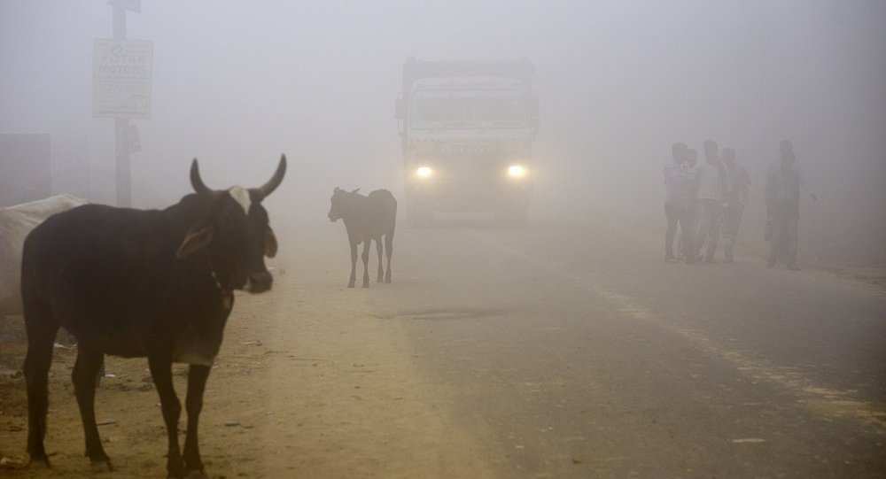 印度新德里市民未受危险空气污染的影响