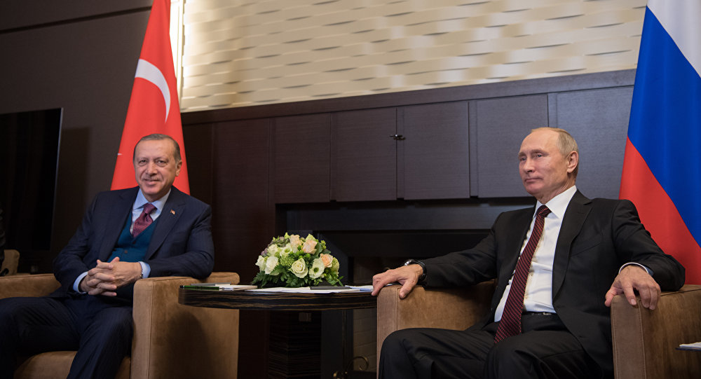 俄土两国总统通电话讨论橄榄枝行动
