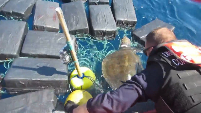 美国海岸警卫队公布在太平洋营救海龟视频