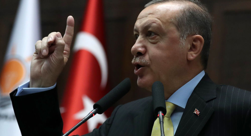 埃尔多安呼吁美国不要向土耳其挑衅