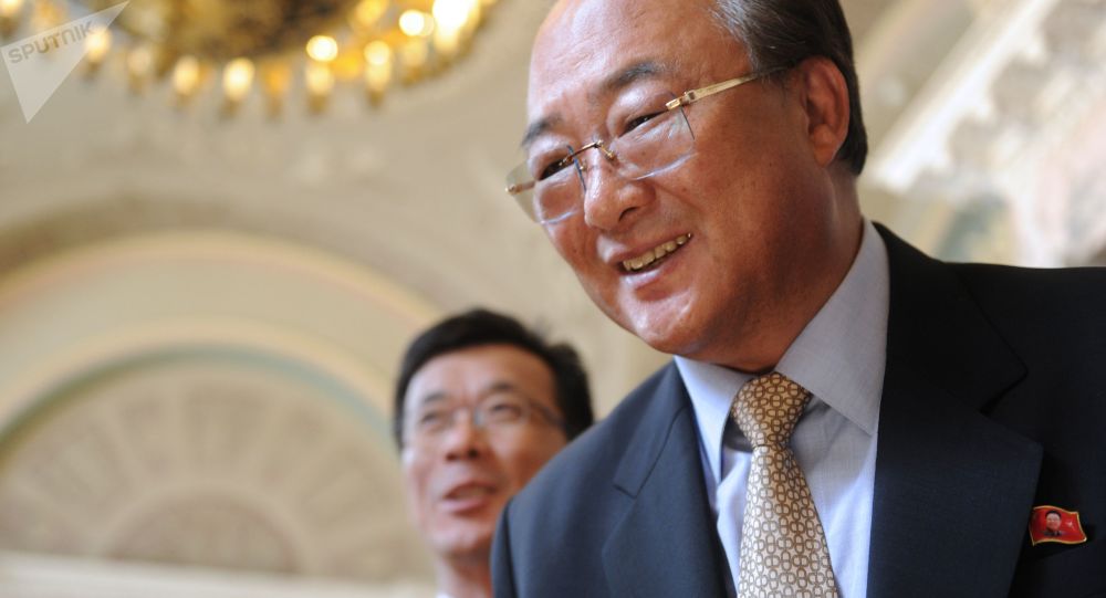 朝鲜驻俄大使：改善朝韩关系是今年的首要任务