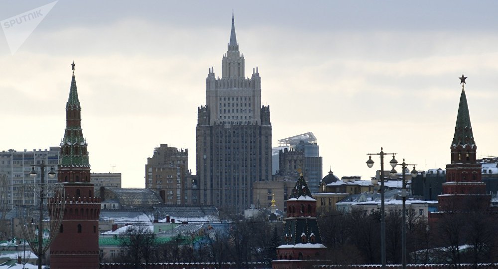 俄外交部称入境俄罗斯的电子签证可能获准多次使用