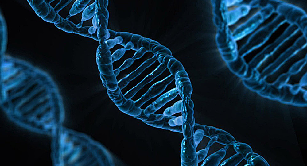 美国研究者在人类DNA中检测出以前从未有过的祖先痕迹