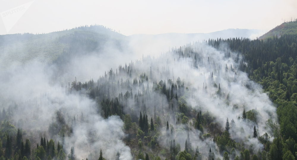 俄国防部和紧急情况部飞机扑灭克拉斯诺亚尔斯克附近2.3万公顷林火