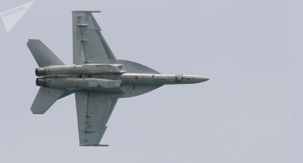 北约战斗机试图在波罗的海上空接近俄罗斯国防部部长飞机（视频）
