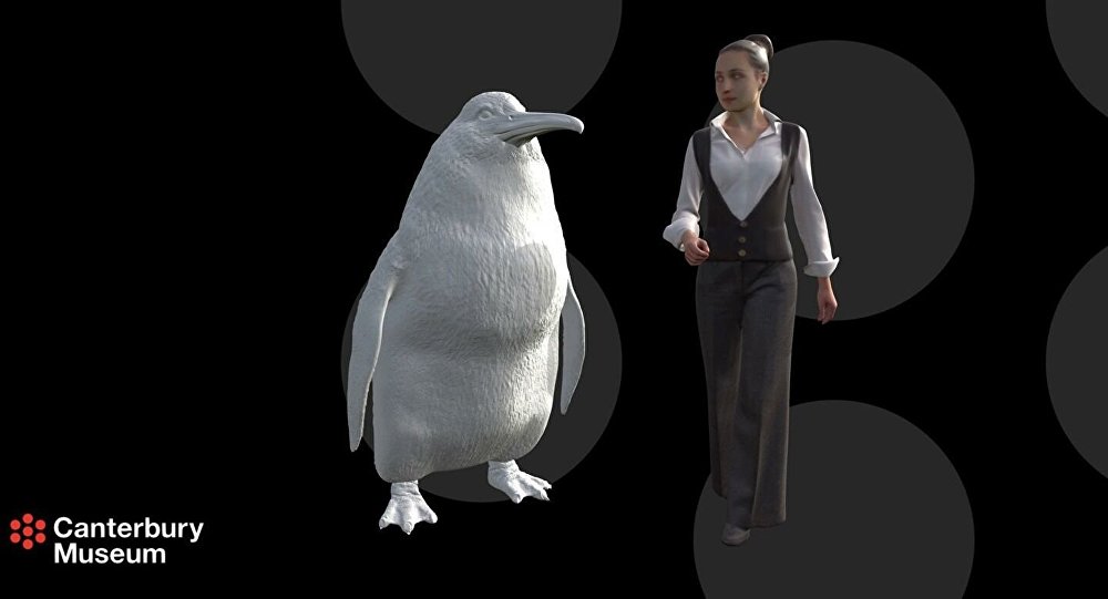 和人一样高的巨型企鹅曾经栖息在新西兰