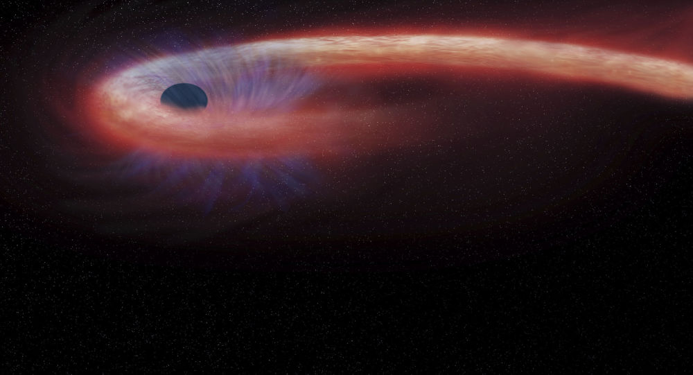 科学家发现离地球最近的黑洞