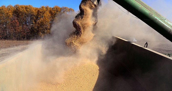 近年中国大豆进口占粮食进口总量的80%以上