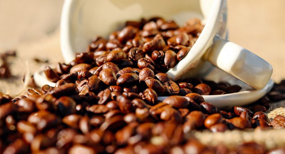 科学家指出借助咖啡延长寿命的方法