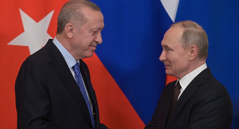普京与埃尔多安讨论叙利亚和利比亚调解