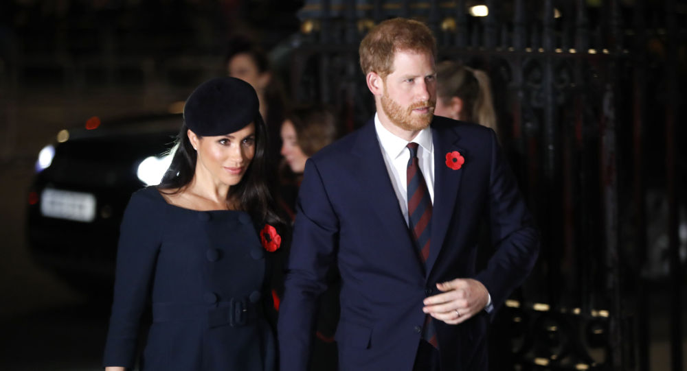 英国王室：哈里王子夫妇将不再以王室成员身份工作