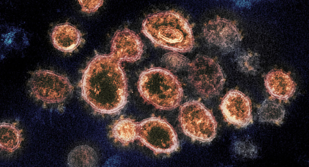 英媒：中国可能在2012年就出现基因组与SARS-CoV-2接近的病毒