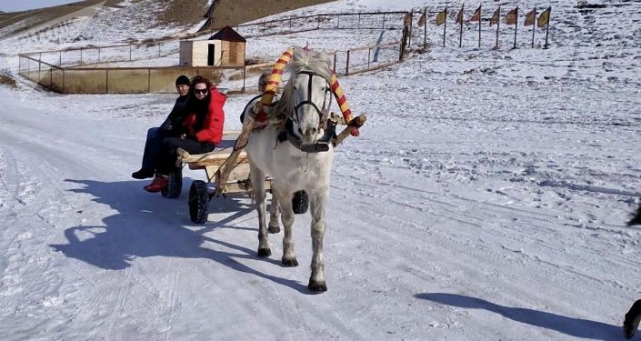普京：国际旅游恢复到以前的水平需要时间
