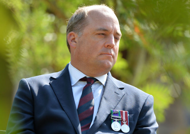 防御有关英国国防大臣本·华莱士在接受英国广播公司(bbc)的采访时称