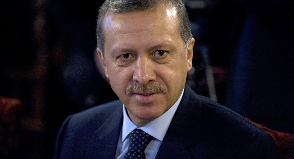 媒体:土耳其总统抵达沙特阿拉伯进行正式访问