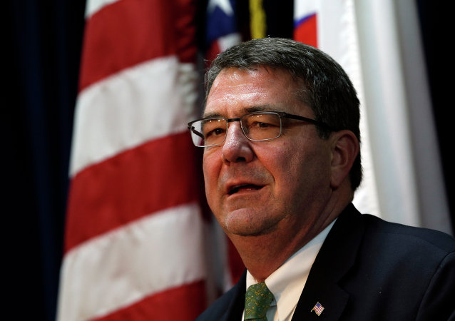 国防部长阿什顿·卡特