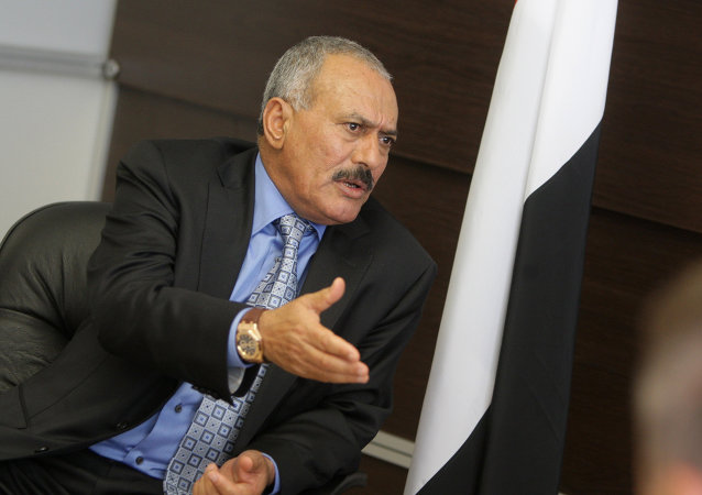 也门前总统阿里·阿卜杜拉·萨利赫/资料图片