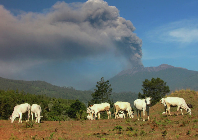 拉翁火山喷射火山