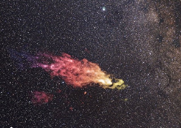 社会新闻:社会热点话题,事件评论,文化活动资讯,精选图片等 - 今日